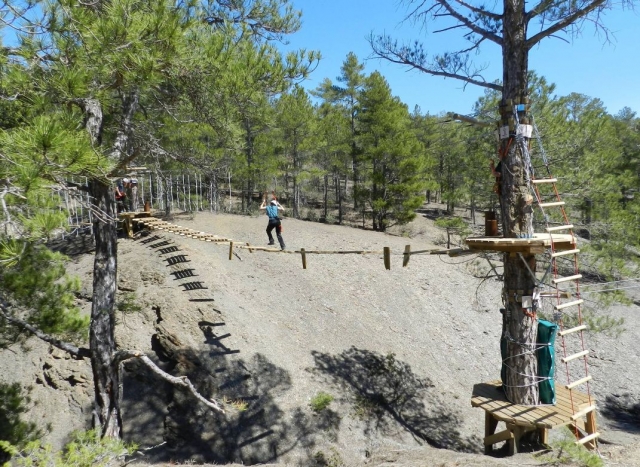 recorre nuestro parque de arboles
